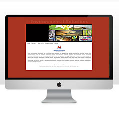 HLF Images Graphic and Web Design - Masse Environmental old